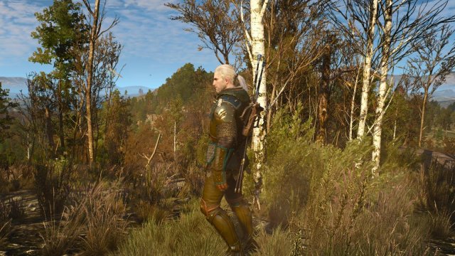 witcher3 2022-04-22 23-51-18-46.jpg