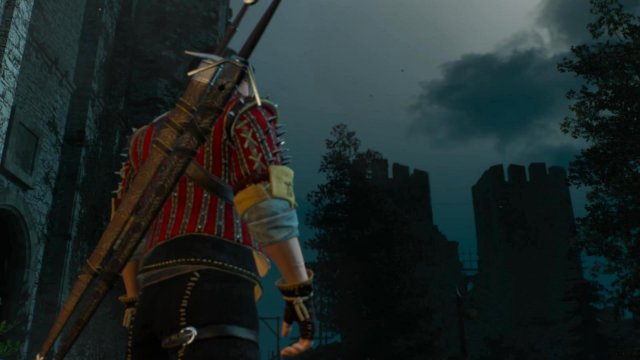 witcher3 2022-01-19 22-52-11-37.jpg