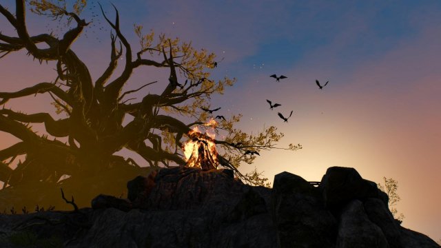 witcher3 2022-01-20 00-33-26-25.jpg