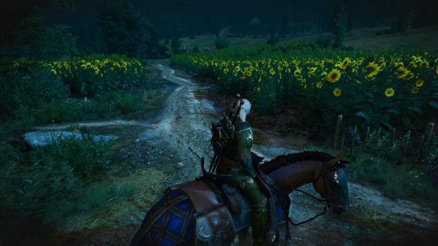 witcher3 2022-02-12 22-14-53-01.jpg
