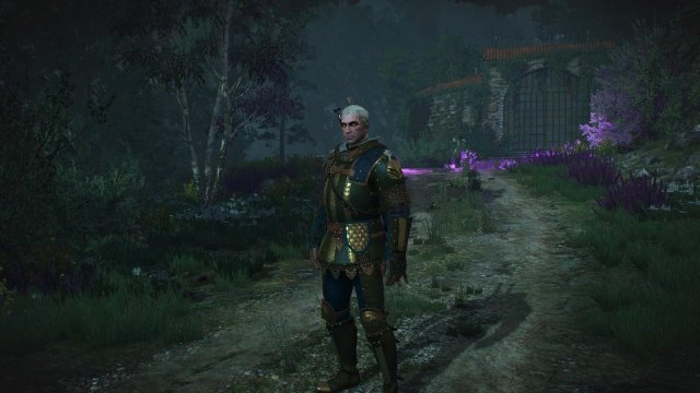 witcher3 2022-02-12 23-57-58-36.jpg