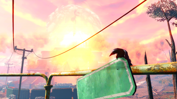 После Нюка райд добрался до Круза . .png