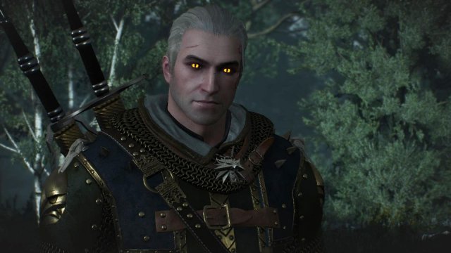 witcher3 2022-02-12 23-32-34-81.jpg
