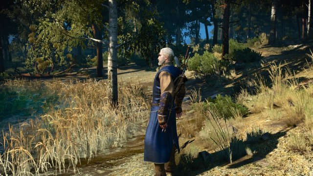 witcher3 2022-05-12 23-00-14-12.jpg