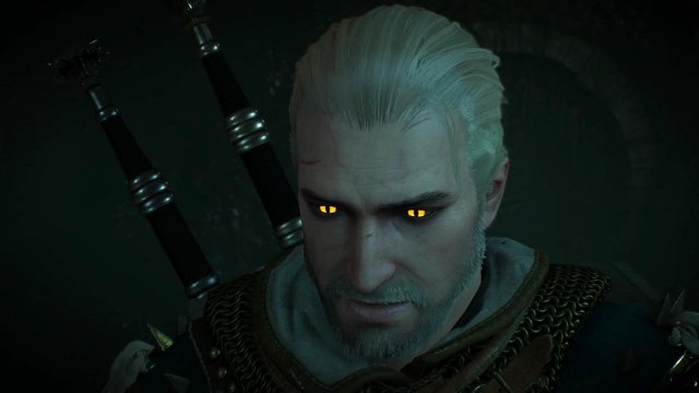 witcher3 2022-02-12 00-45-01-59.jpg