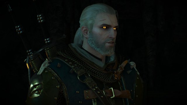 witcher3 2022-01-21 19-55-36-34.jpg