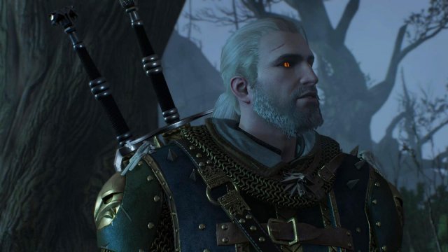 witcher3 2022-01-19 22-16-43-11.jpg