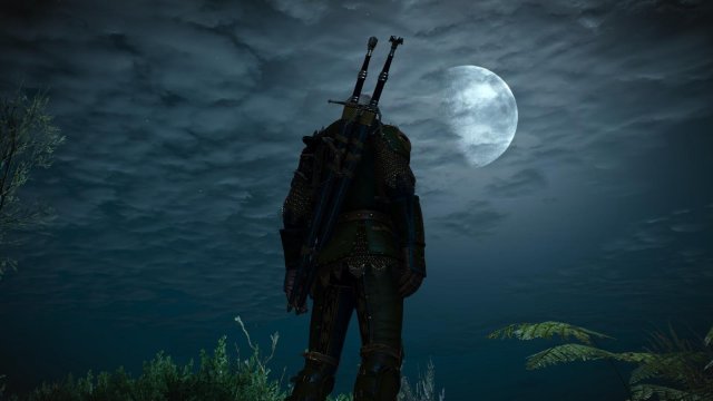 witcher3 2022-04-22 23-49-38-60.jpg