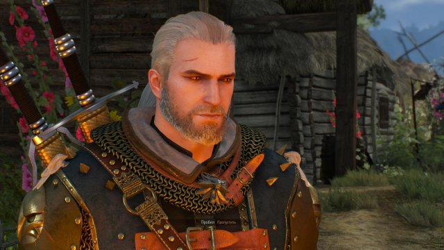witcher3 2022-01-18 23-55-45-60.jpg