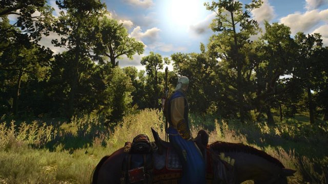 witcher3 2022-05-02 00-30-53-73.jpg