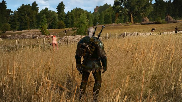 witcher3 2022-04-21 21-08-46-52.jpg