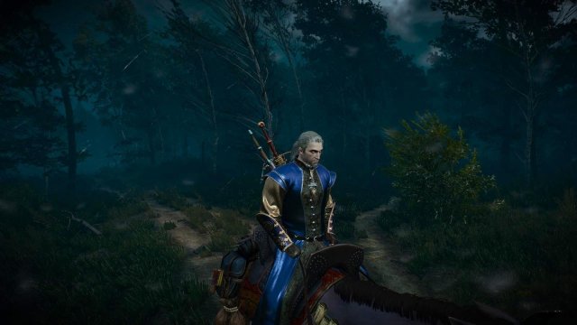 witcher3 2022-05-02 23-09-34-56.jpg