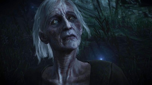 witcher3 2022-02-07 21-55-31-12.jpg