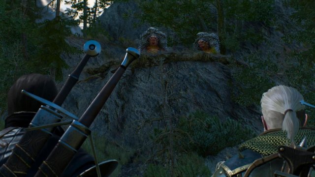 witcher3 2022-01-18 01-00-06-27.jpg