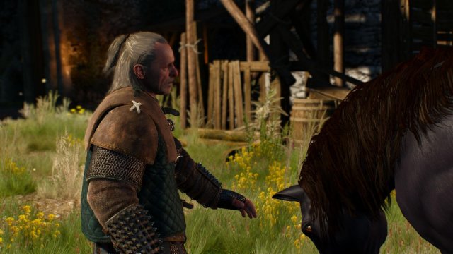 witcher3 2022-01-19 22-17-44-14.jpg