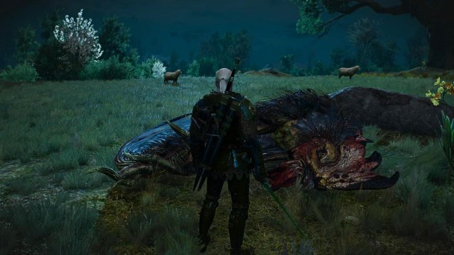 witcher3 2022-01-18 22-16-12-77.jpg