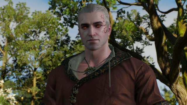 witcher3 2022-02-13 00-01-28-11.jpg