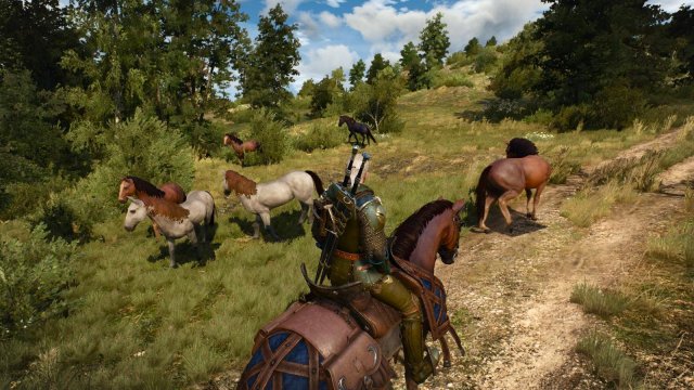 witcher3 2022-04-21 21-12-20-44.jpg