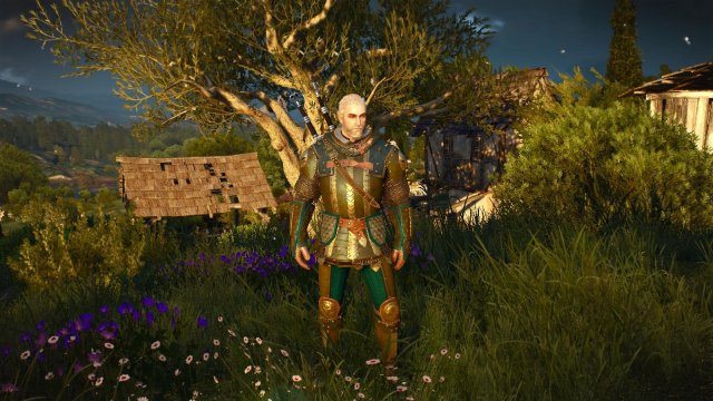witcher3 2022-04-26 22-34-34-88.jpg