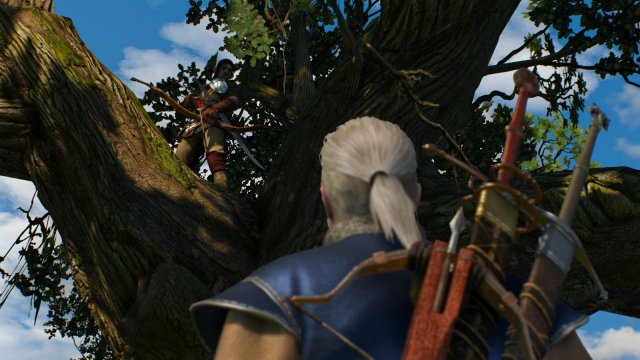 witcher3 2022-05-02 22-00-46-74.jpg