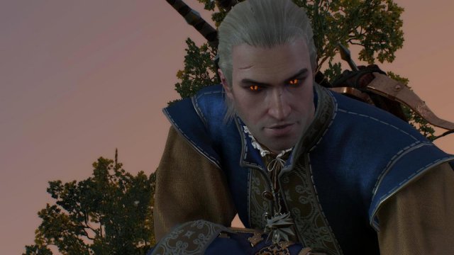 witcher3 2022-04-28 20-38-23-24.jpg