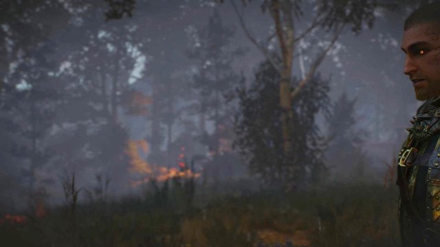 witcher3 2022-02-12 22-31-42-87.jpg