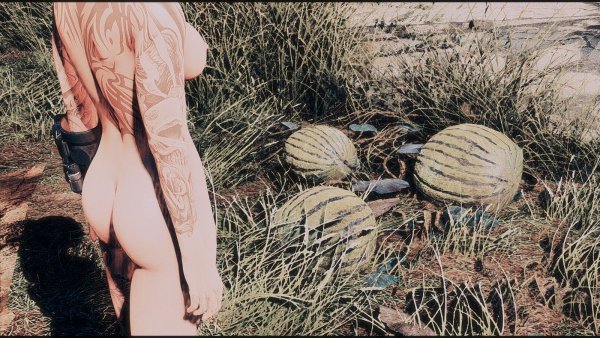 Арбузы )) Fallout-4 (Сборка 7.5)