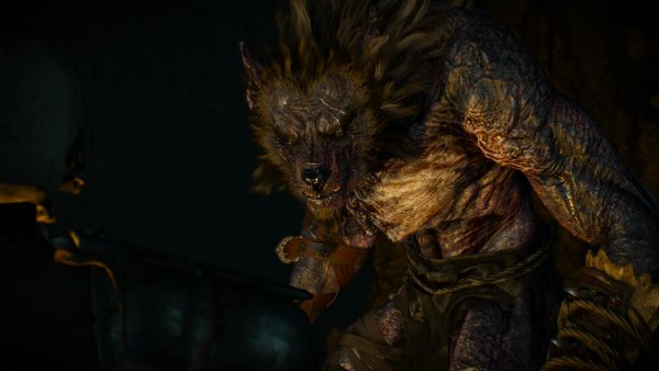 ВОЛКОЛАК, или монстры мира Ведьмак.