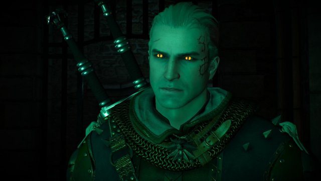 witcher3 2022-02-12 23-45-29-41.jpg