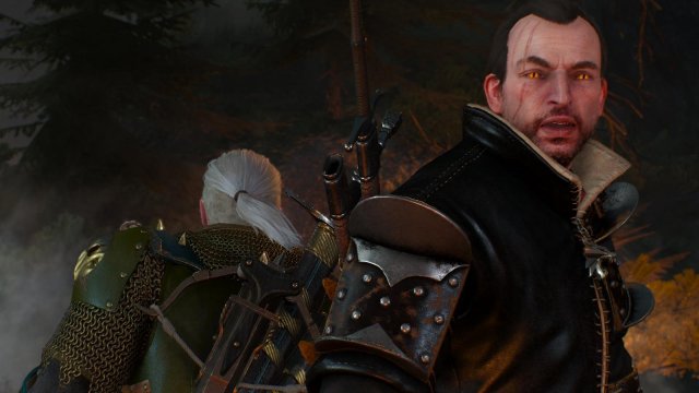 witcher3 2022-01-19 23-01-58-54.jpg