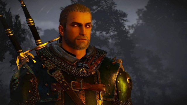 witcher3 2022-02-12 22-25-53-22.jpg