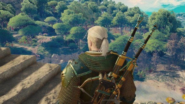 witcher3 2022-02-10 23-31-39-76.jpg