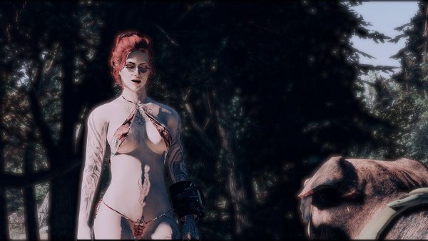 Собирайся, идёшь со мной! Fallout-4 (Сборка 7.5)