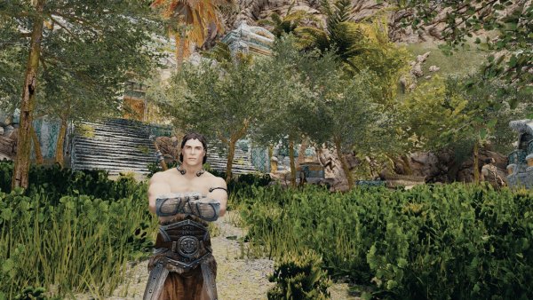 Бики возле Маркарта.. Skyrim SE (Тропики 7.0)