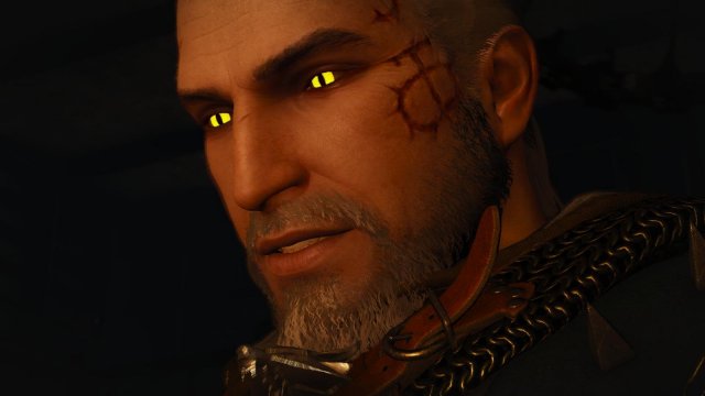 witcher3 2022-04-21 22-50-45-45.jpg