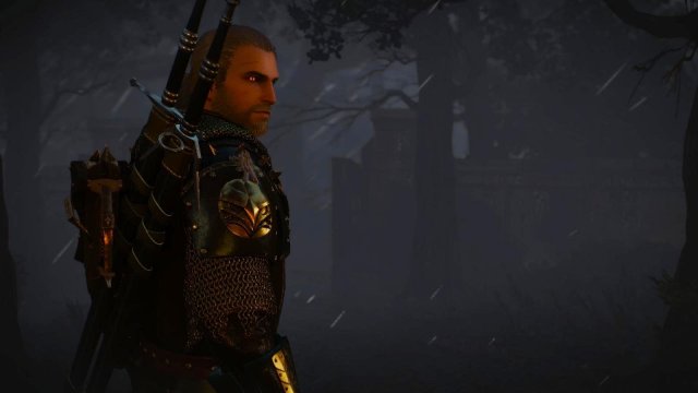 witcher3 2022-02-12 22-31-49-97.jpg