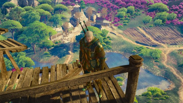 witcher3 2022-02-10 23-32-30-83.jpg