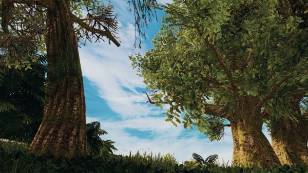 ПЕЙЗАЖИ тропиков..