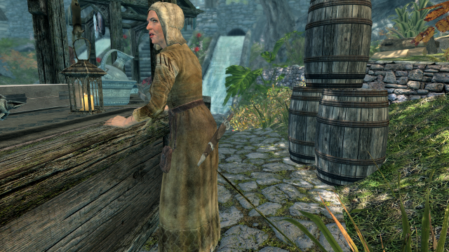 The Elder Scrolls V  Skyrim Special Edition Screenshot 2022.08.11 - 19.28.42.55.png