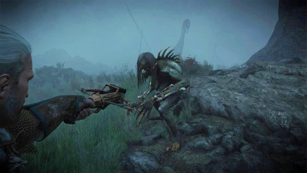 Водяная баба.. Ведьмак III (сборка Торна)