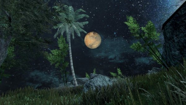 Ночные тропики. SKYRIM AE