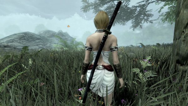 ........... SKYRIM AE