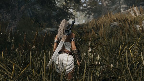 НИКА: тропинка совсем заросла.