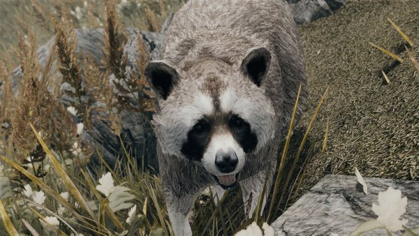 Енот ) SKYRIM AE (сборка 10)