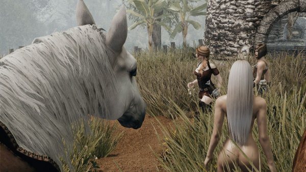 ..... SKYRIM AE (сборка 10)