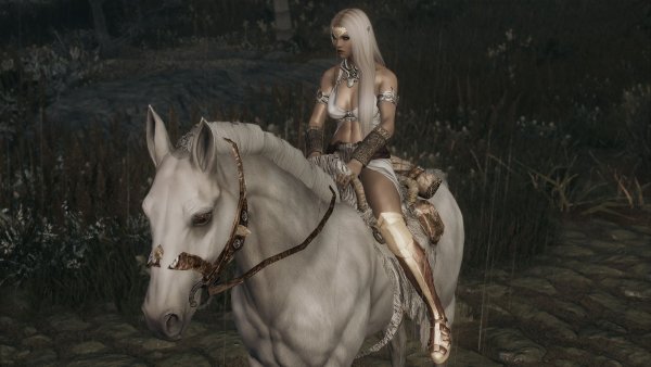 ЭЛЛАЙНА на ночной и дождливой дороге..