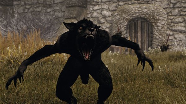 Верфольф.. SKYRIM AE (сборка 10)