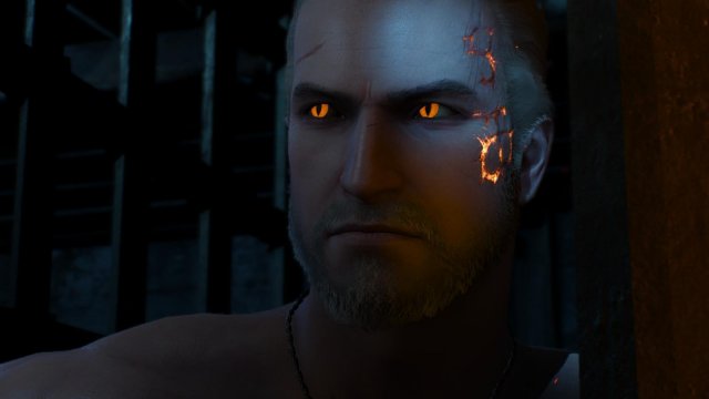 witcher3 2022-02-12 00-53-50-43.jpg