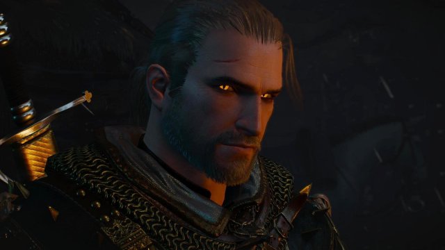 witcher3 2022-02-12 22-29-33-02.jpg