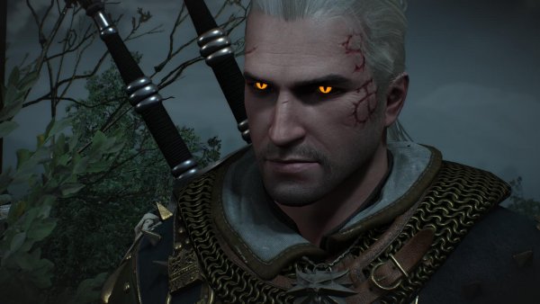 Г Е Р А Л Ь Т.. Ведьмак III (сборка Торна)